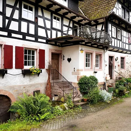 아파트 Muehlenstube Obersasbach