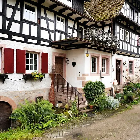 Muehlenstube Apartmán Obersasbach